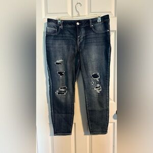 Maurices Dark Wash Distressed Jeans 18W Short